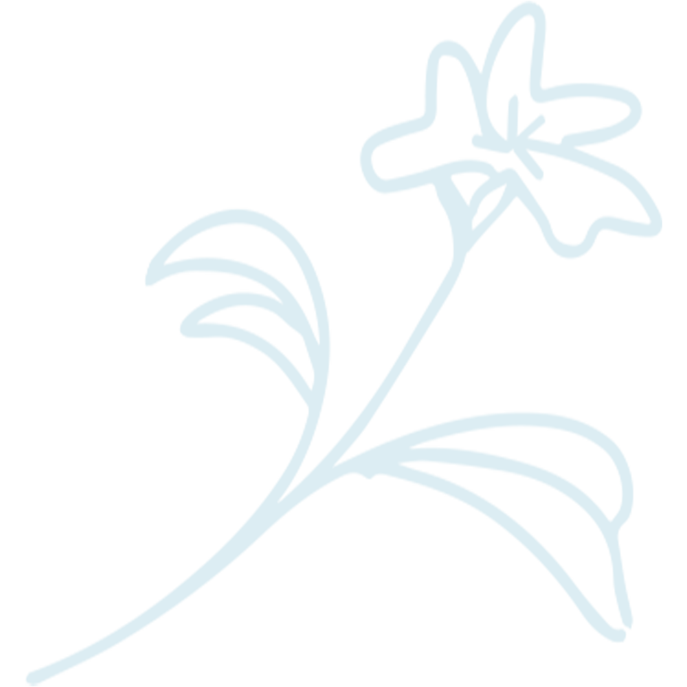 Delicate Outline of a Lily Flower with Subtle Blue Hue